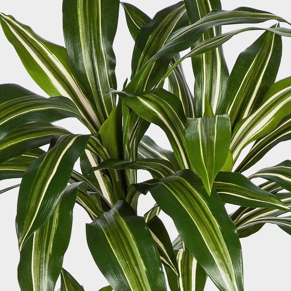 Künstlicher Deko-Zweig mit metallisch schimmernden Blättern.