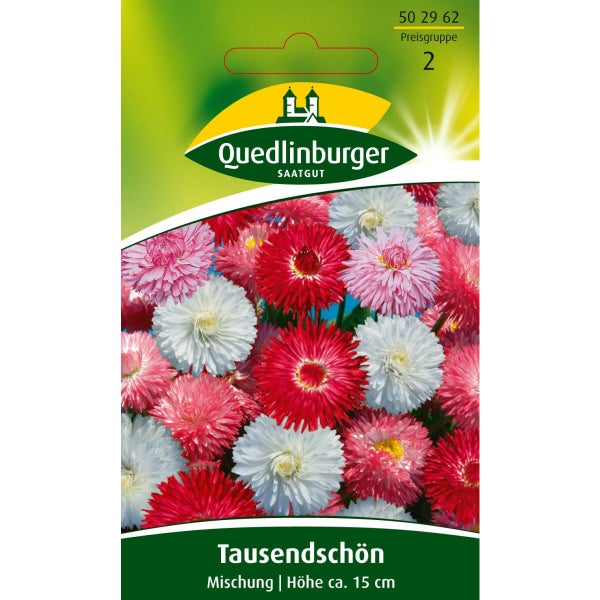 Tausendschön Mischung Samen von Quedlinburger SAATGUT