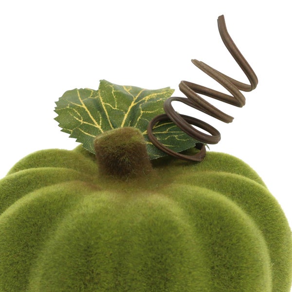 Dekokürbis mit Blatt und Ranke