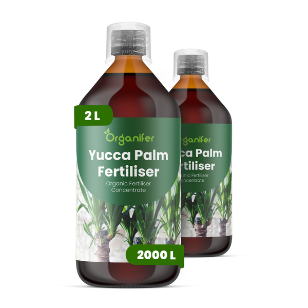 Organifer Yucca Palm Dünger, Bio-Dünger-Konzentrat, 2 Liter Packung für circa 2000 Liter Gießwasser.