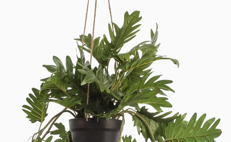 Nahaufnahme von künstlichen Ziergrashalmen in verschiedenen Grün- und Brauntönen.