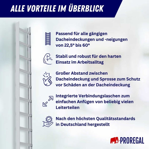 PROREGAL Dachleiter Alu Natur 7 Sprossen