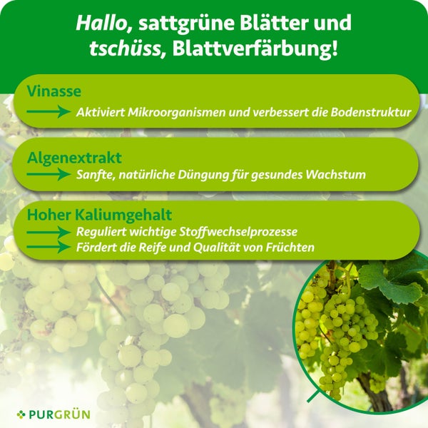 Flasche Purgrün Bio Tafeltraubendünger mit Vinasse und Algenextrakt, 1 Liter für circa 100 Liter Gießwasser, hergestellt in Deutschland.