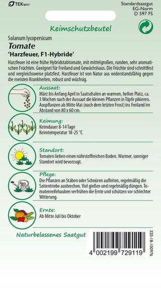 Tomatensamen Harzfeuer F1-Hybride für Freiland und Gewächshaus