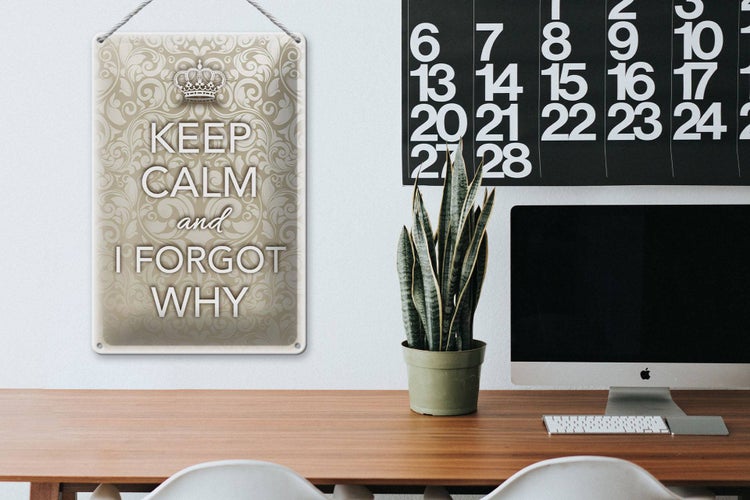 Blechschild Spruch 20x30cm Keep Calm and i forgot why