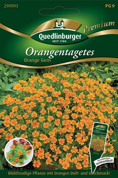 Samentüte für Orangentagetes Orange Gem von Quedlinburger mit Abbildung der blühenden Pflanze und dem Quedlinburger Logo.