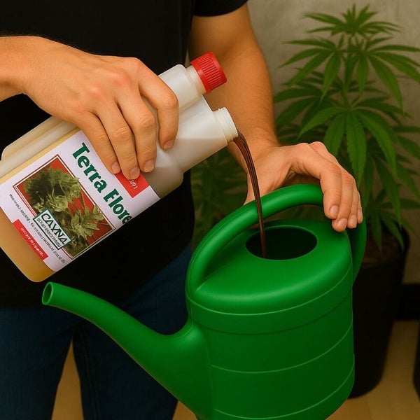 Person gießt Canna Terra Flores Pflanzendünger aus der Flasche in eine grüne Gießkanne für die Pflanzenpflege.