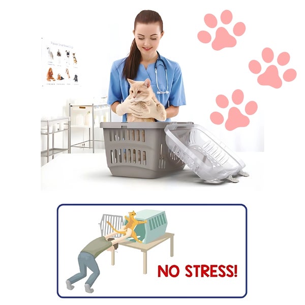 Tierärztin setzt Katze in Transportkorb