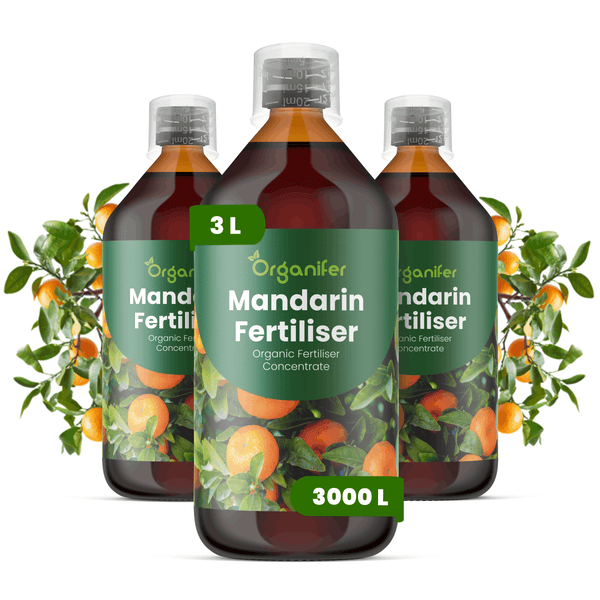 Drei Flaschen Organifer Mandarinendünger, organisches Flüssigdünger-Konzentrat, 3 Liter, ausreichend für circa 3000 Liter Düngerlösung.
