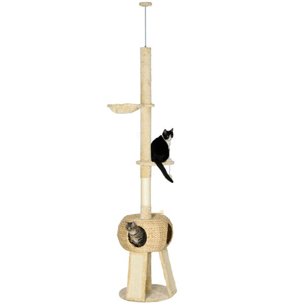 PawHut Kratzbaum Deckenhoch, 225-255 cm Katzenkratzbaum mit Katzenhöhle, Katzenbaum mit Spielball, Hängematte, Kletterbaum für Katzen bis 5 kg, Katzenmöbel, Plüsch, Beige
