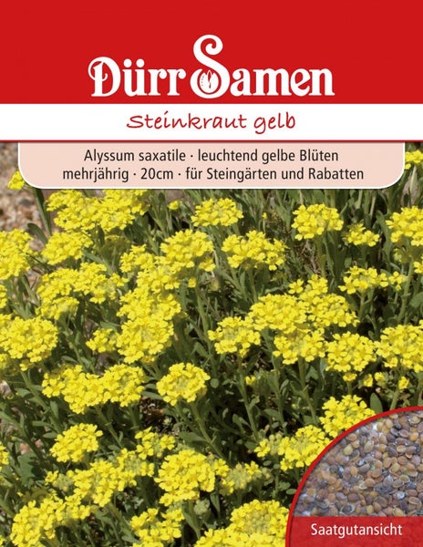 Dürr Samen Logo, Saatgut für Steinkraut Alyssum saxatile, gelbe Blüten, mehrjährig, 20 Zentimeter Wuchshöhe, mit Abbildung der Samen.
