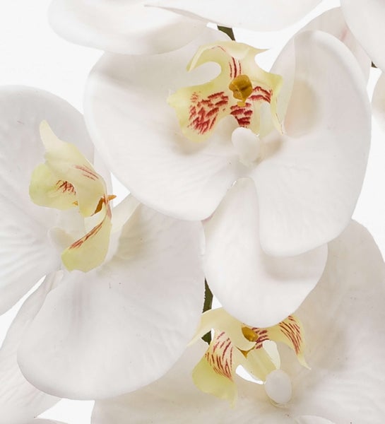 Detail eines künstlichen Pflanzenstiels mit schmalen, grünen Blättern.