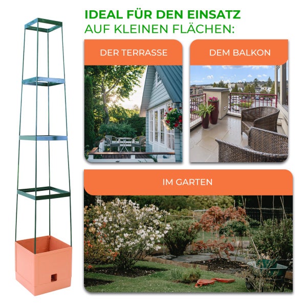 Rankhilfe in einem Pflanztopf, ideal für kleine Flächen wie Terrassen, Balkone und Gärten. Metallgestell mit mehreren Ebenen.