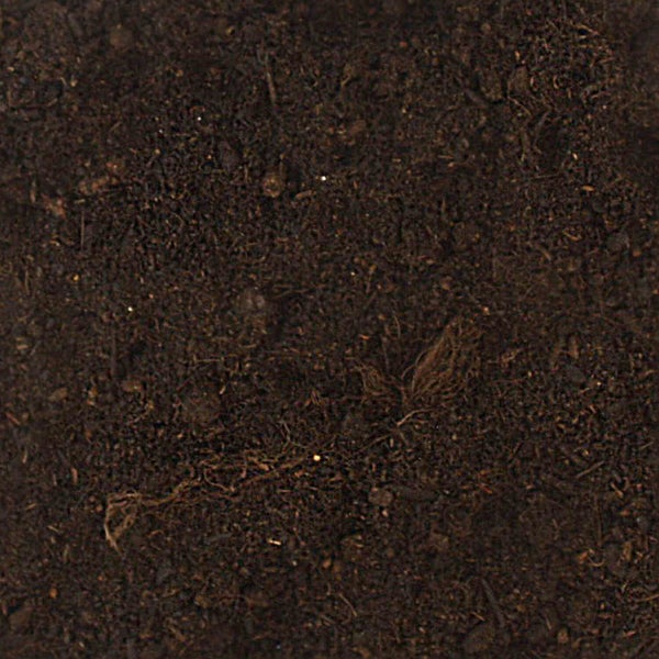 Nahaufnahme von Blumenerde mit organischen Bestandteilen und faseriger Struktur.