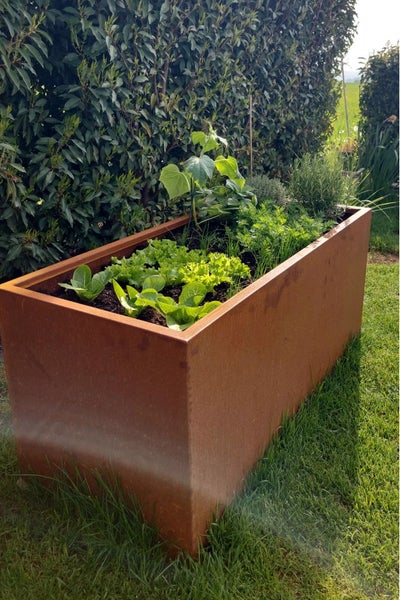 Rechteckiges Hochbeet aus Cortenstahl auf einer Rasenfläche, bepflanzt mit Salat und Kräutern vor einer grünen Hecke.