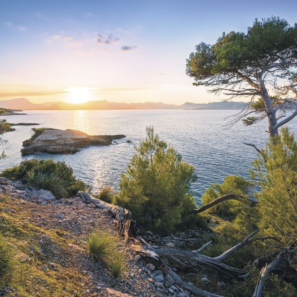 Landschaft mit Meerblick, Felsen und Bäumen bei Sonnenaufgang