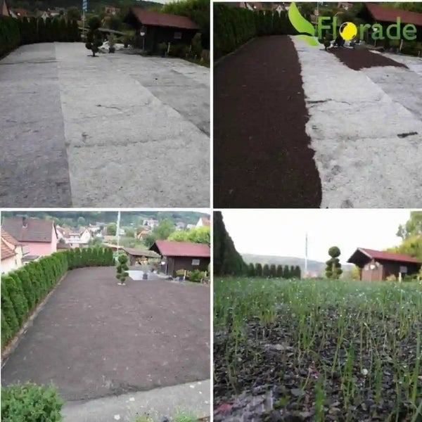 Vier Bilder zeigen die schrittweise Anlage eines Rasens mit einer Florade Rasenmatte im Garten vor einem Haus.