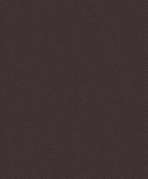 Hängende Zwergfichte im Garten