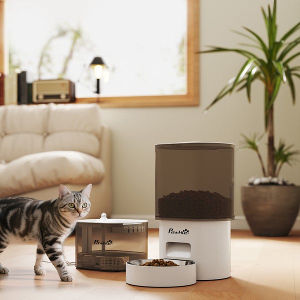 Automatische Futterspender für Katzen und Trinkbrunnen neben einer Katze im Wohnzimmer