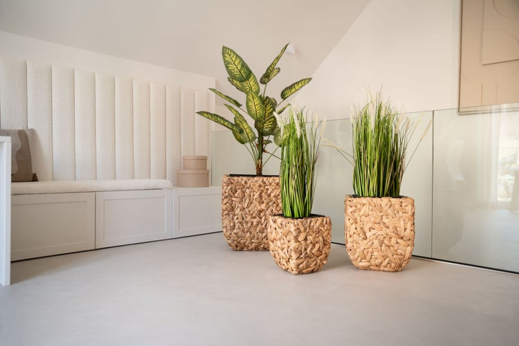 Heller, moderner Raum mit weißer Sitzbank und drei Zimmerpflanzen in geflochtenen Körben aus Seegras, darunter Dieffenbachia und Ziergras.