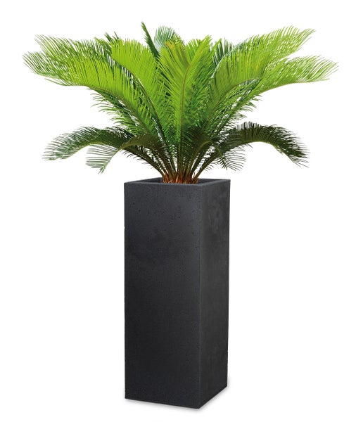Scheurich C-Cube High 70, Hochgefäß/Blumentopf/Pflanzkübel, quadratisch,  aus Kunststoff Farbe: Stony Black, 26 cm Durchmesser, 69,8 cm hoch, 9 l Vol.