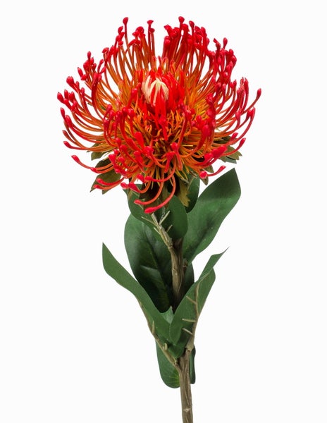 Künstliche Protea Leucospermum Kunstblume in Rot und Orange mit grünem Stiel und Blättern.