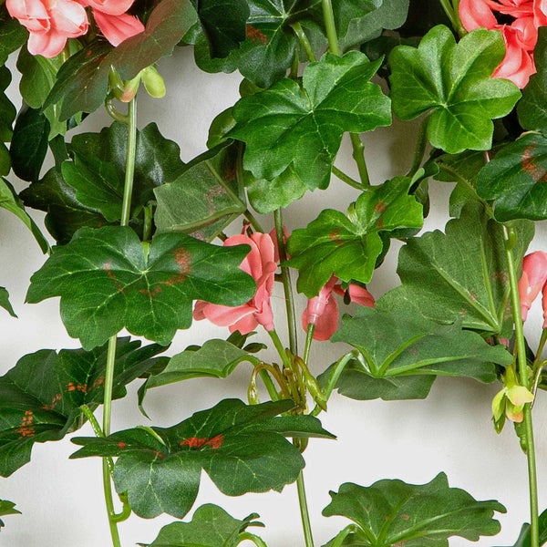Künstliche Alocasia-Pflanze im schwarzen Topf mit großen dunkelgrünen Blättern und hellen Blattadern.