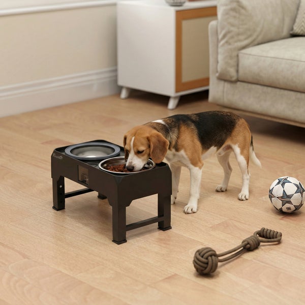Beagle frisst aus einer schwarzen, höhenverstellbaren Futterstation mit zwei Edelstahlnäpfen auf einem Holzboden in einem modernen Wohnzimmer.