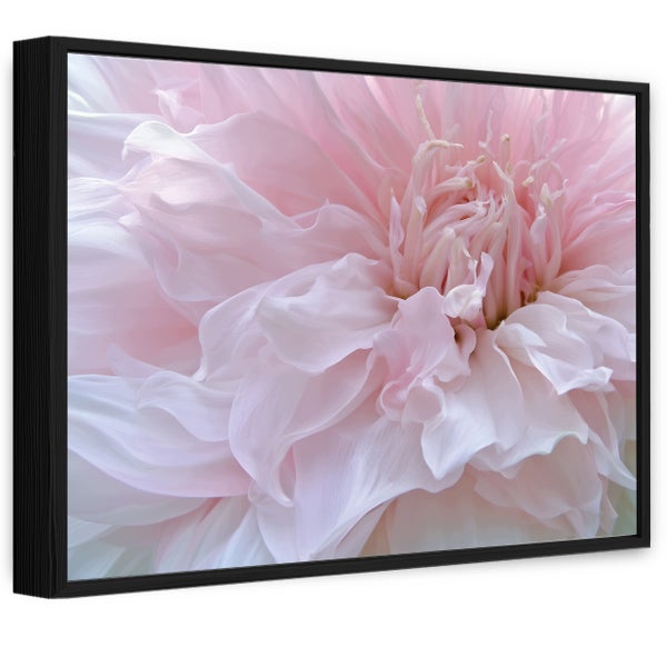 Wandbild mit Nahaufnahme einer Blume im schwarzen Rahmen