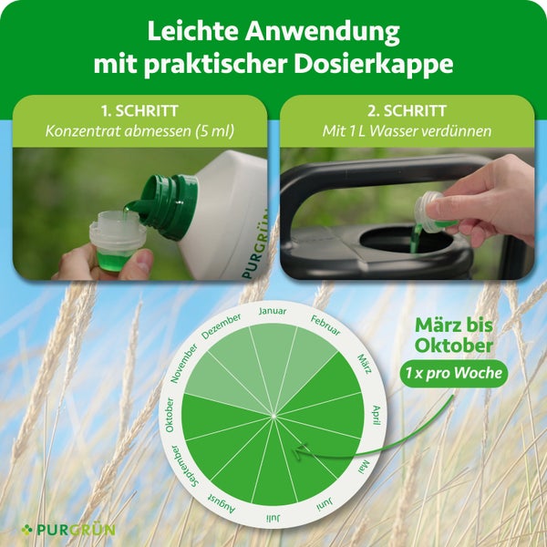 Flüssigdünger-Anwendung: 5 Milliliter abmessen, mit 1 Liter Wasser verdünnen. Saisonkalender zeigt Anwendung wöchentlich von März bis Oktober. Purgrün Logo.