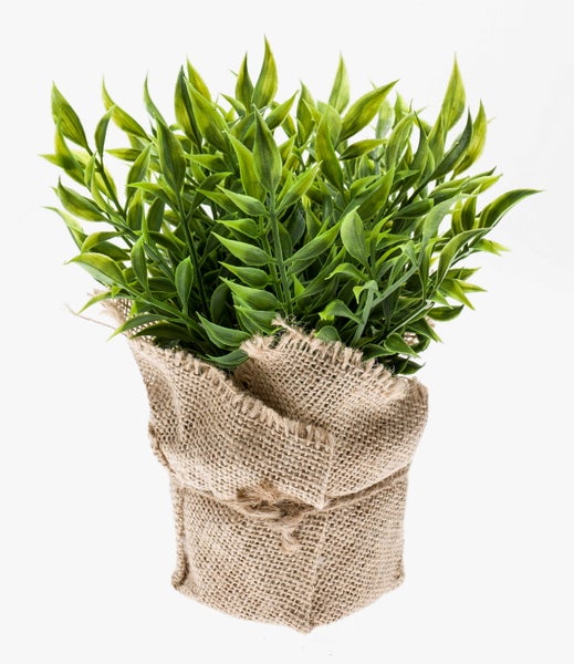 Nahaufnahme eines mit Jute umwickelten Blumentopfs mit sichtbarer Textur und grünen Blättern.