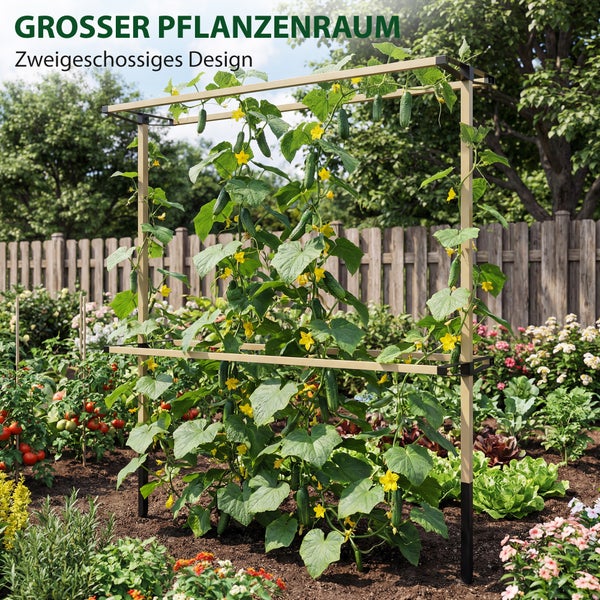 Zweigeschossige Rankhilfe mit Gurkenpflanzen in einem Gartenbeet vor einem Holzzaun.