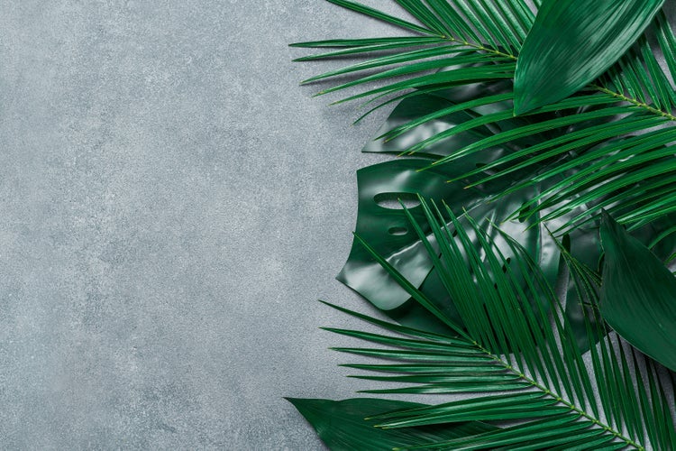 Dekorative Kunstpflanzenblaetter wie Monstera und Palmenblaetter auf strukturiertem Untergrund.