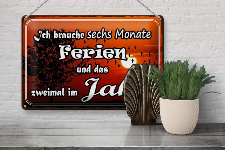Blechschild Spruch 30x20cm brauche 6 Monate Ferien 2 Mal