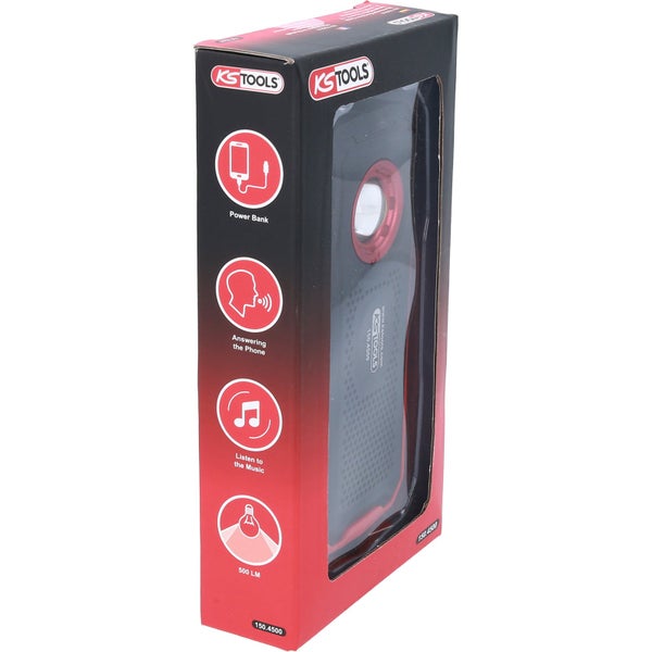 Nahaufnahme von blühendem Oregano