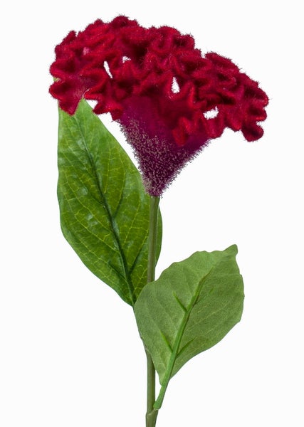 Künstliche Celosia Hahnenkamm Blume mit roter samtiger Blüte und grünen Blättern.