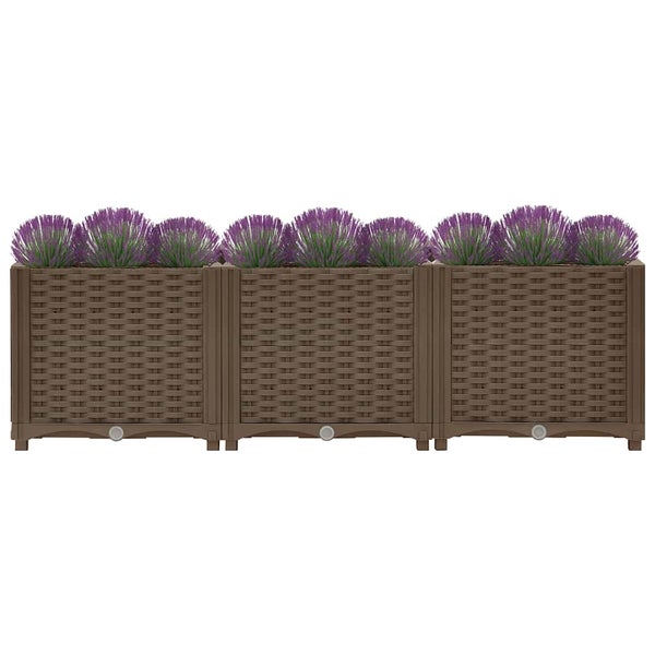 Drei Pflanzkasten in Rattanoptik mit Lavendel bepflanzt für den Garten oder Balkon.