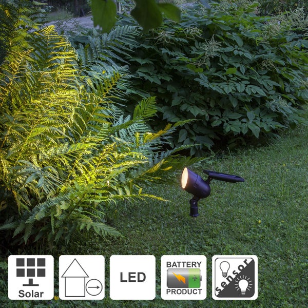 Solar LED Strahler zur Gartenbeleuchtung