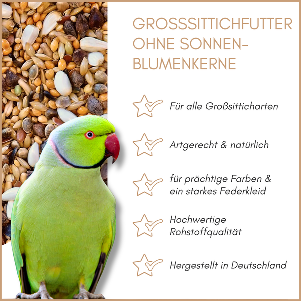 Großsittichfutter ohne Sonnenblumenkerne und ein Halsbandsittich