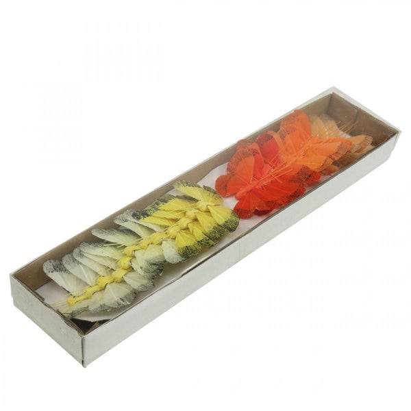 Dekorative Schmetterlinge in einer Verpackung