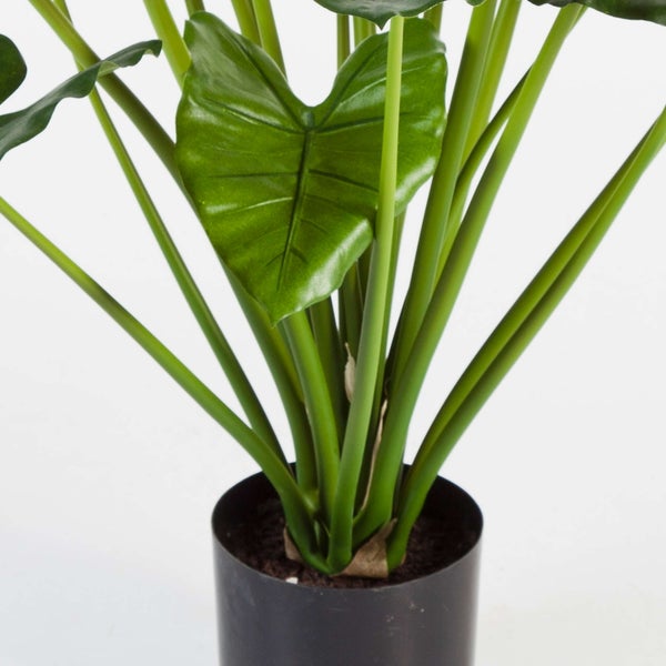 Künstliche Alocasia Kunstpflanze mit grünen Stielen in schwarzem Kunststofftopf.