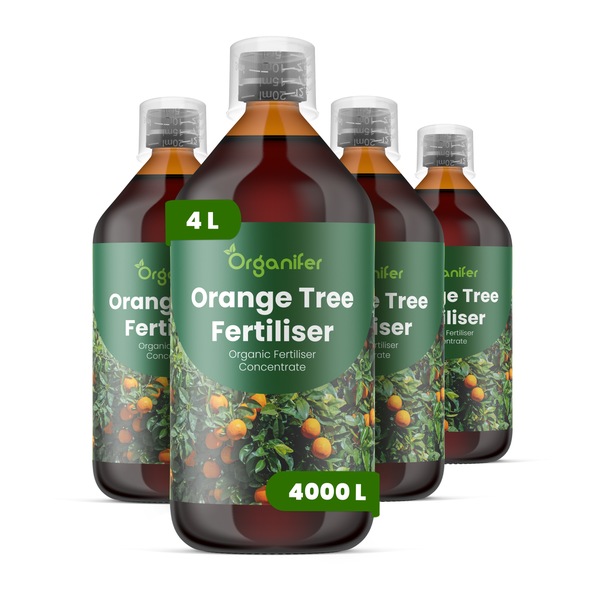 Vier Flaschen Organifer Orangenbaum-Dünger, organisches Düngerkonzentrat, 4 Liter.