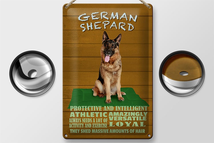 Blechschild Spruch 20x30cm German Shepard Hund athletic