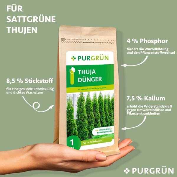Purgrün Thuja-Dünger 1 kg