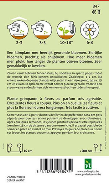 Informationen zur Aussaat von Blumen