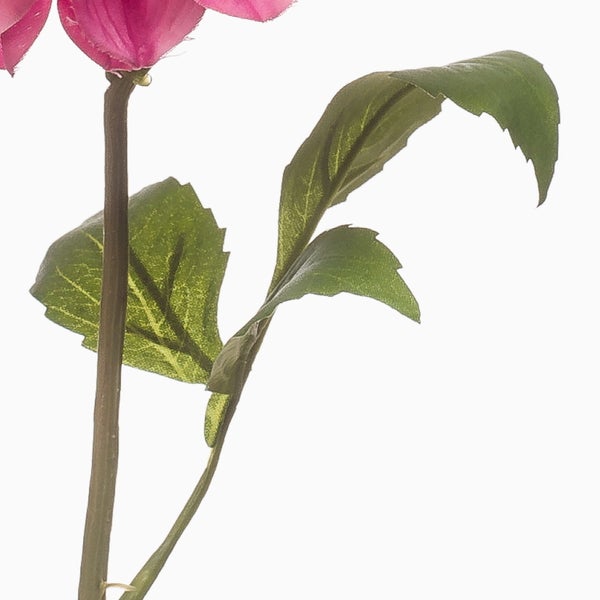 Künstliche Orchidee Phalaenopsis mit weißen Blüten und grünen Knospen am Stiel