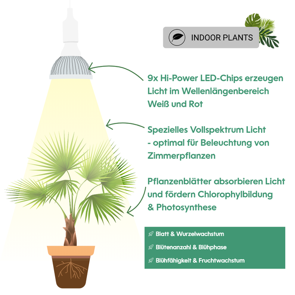 Parus by Venso Growlight Indoor plants LED E27 Pflanzenlampe, Vollspektrum, 18W Pflanzen Lampe, Venso Ecosolutions , verbesserte Photosynthese, höhere Chlorophyllbildung, Venso Pflanzenlampe Weiß