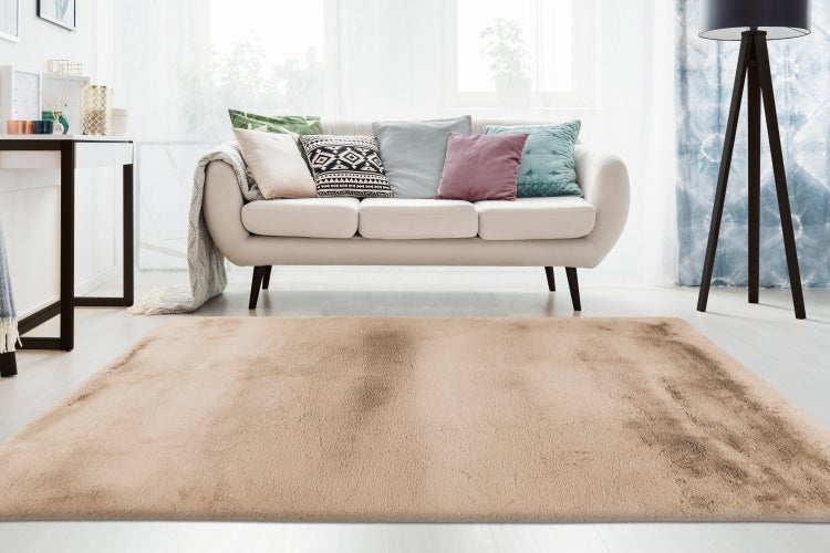 Ein rechteckiger Teppich in Wohnzimmerumgebung mit Sofa und dekorativen Kissen in modernem Einrichtungsstil.