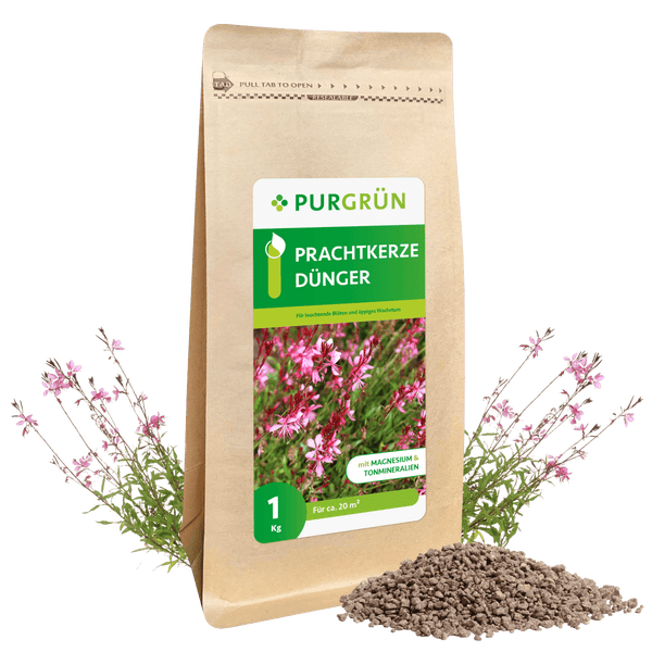 Purgrün Prachtkerze-Dünger 1 kg