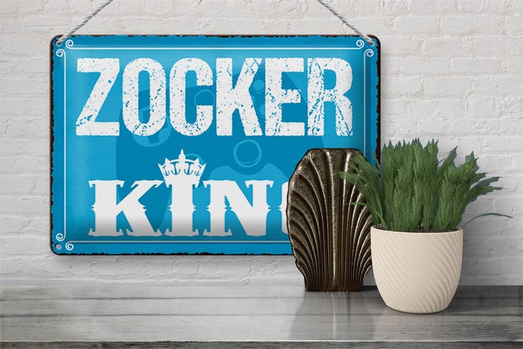 Blechschild Spruch 30x20cm Zocker King Controller